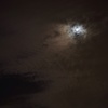 おぼろ月夜+