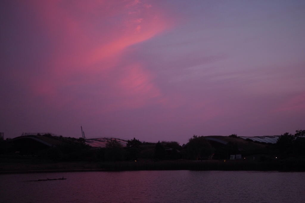 ピンクの空