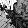utility pole