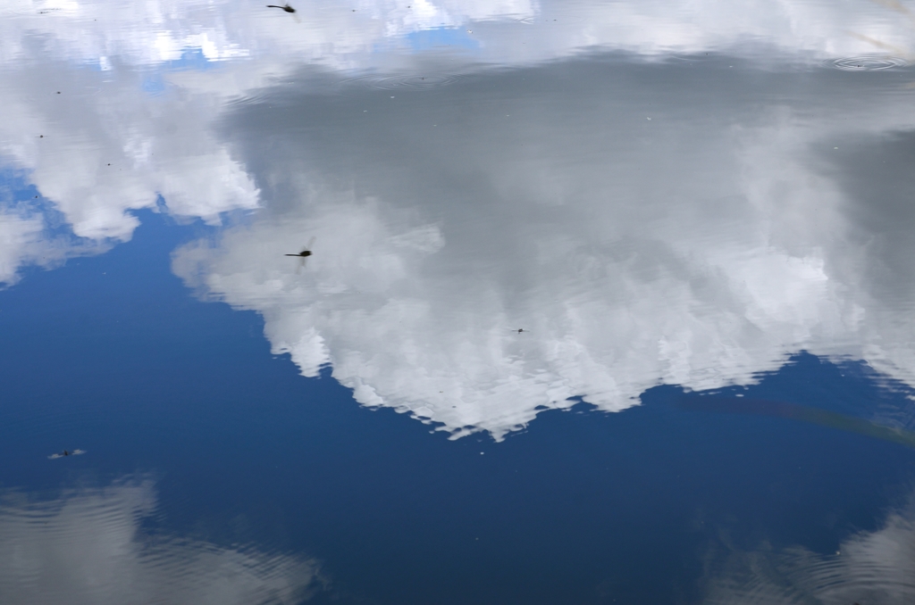 雲とトンボ