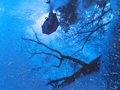 pool of water