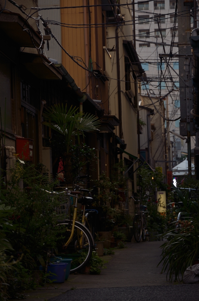 Tokyo scenery「Monjya　St.」