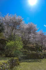 昔人の記憶