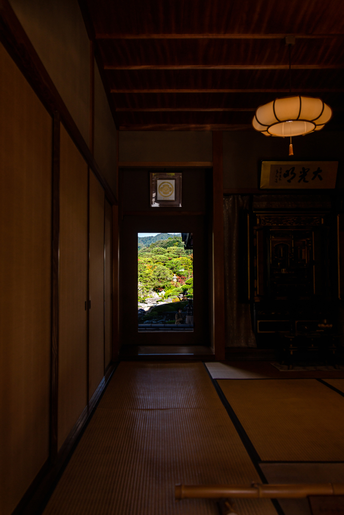生きた掛け軸と部屋