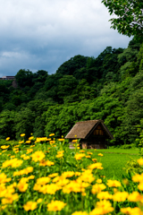 田舎の夏