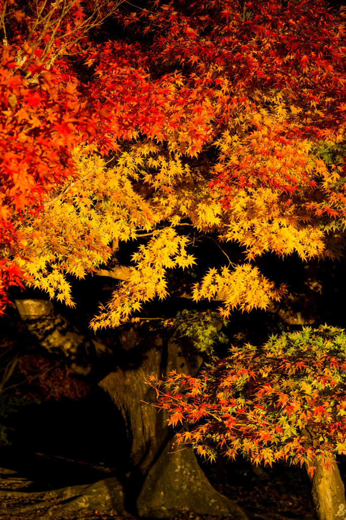 公園の端で