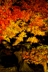 公園の端で