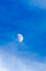 空に浮かぶ月