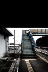 朝の散歩