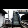 朝の散歩