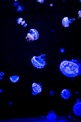 小宇宙