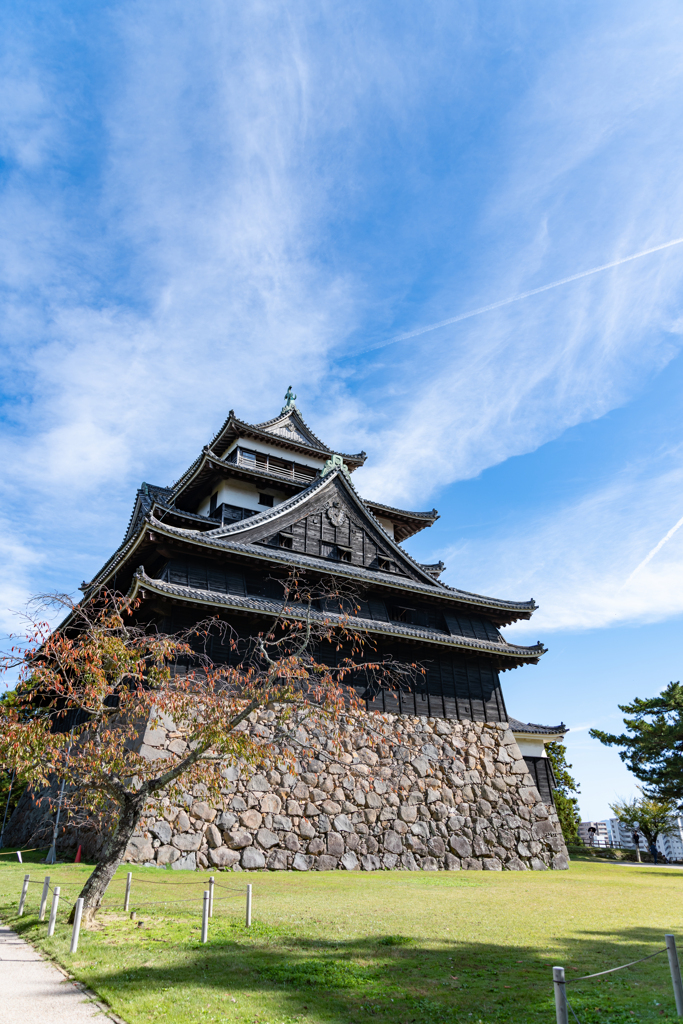 斜め後ろからの