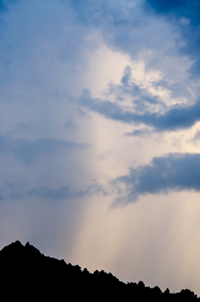 二分する空