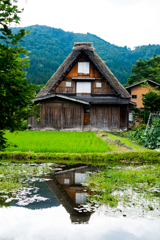 帰り際の一枚