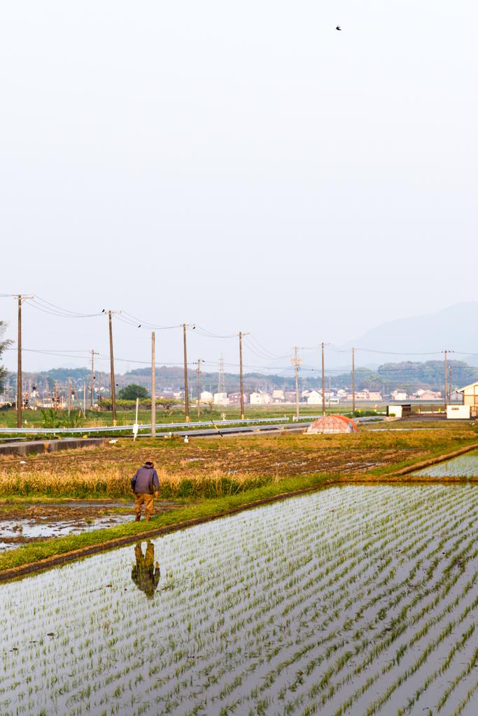 夕日を背に