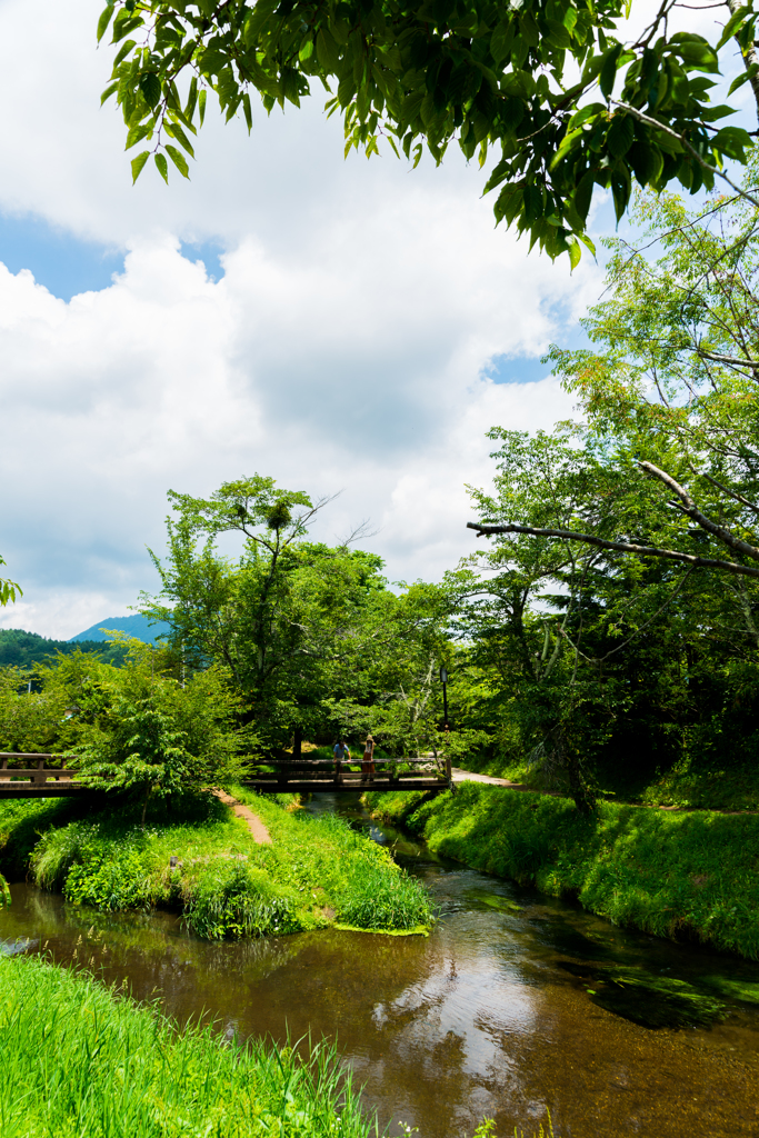 橋のある風景