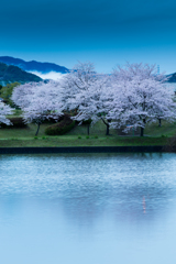 対岸で