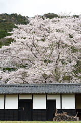 時代を超えて
