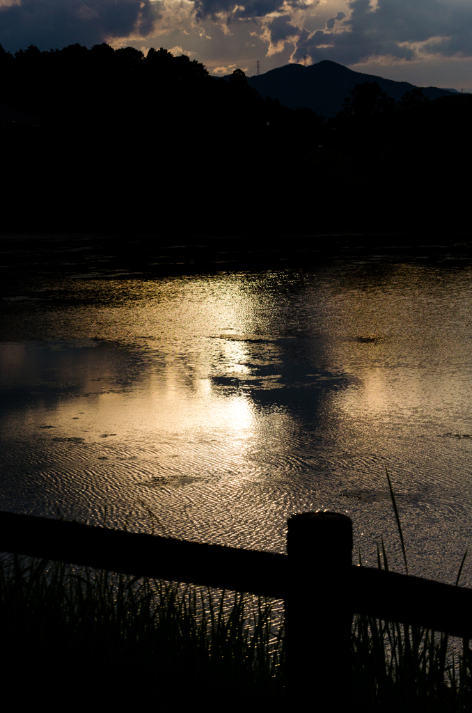 夕方の水辺