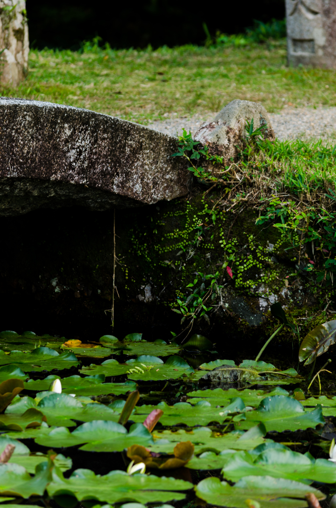 石橋の端