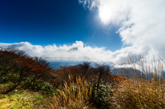 山頂の秋