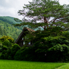 夏の白川郷