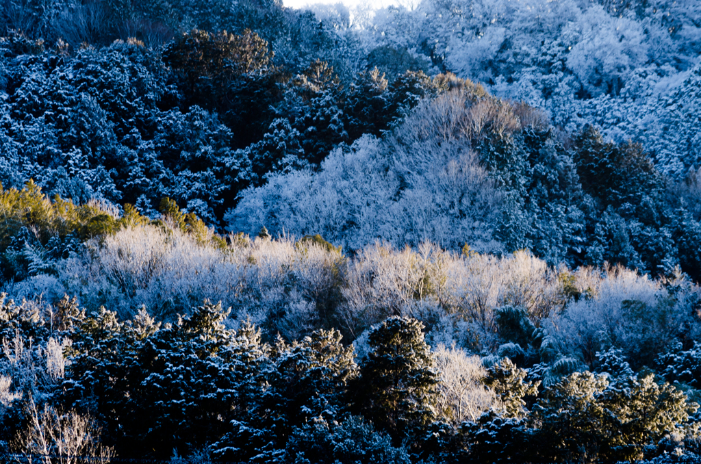 雪のベール