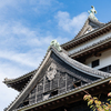 どん。
