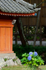 お堂と紫陽花