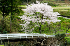 川のそばで