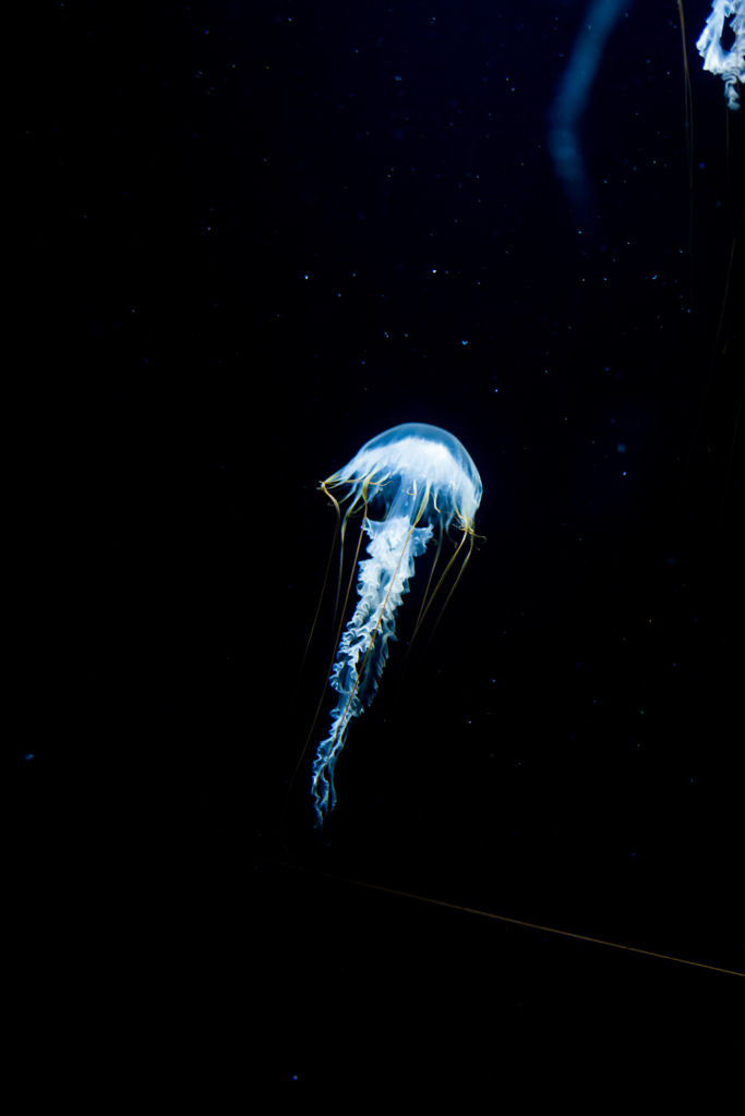 宇宙船のように