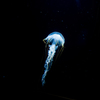 宇宙船のように