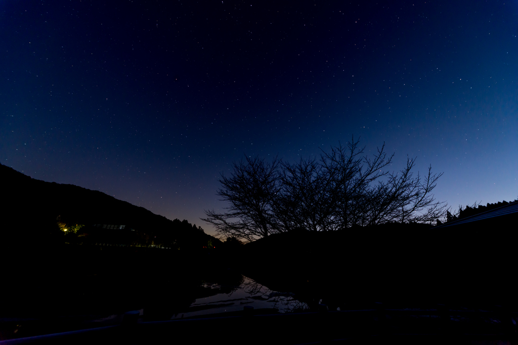 夜と朝の間