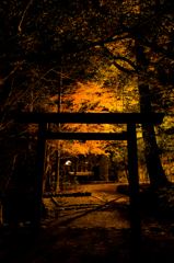 内宮の紅葉