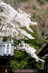 古民家のそばで