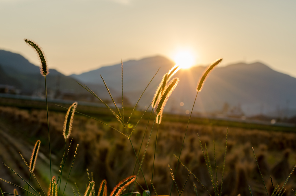 秋の夕暮れ