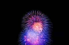 夜空の花