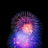 夜空の花