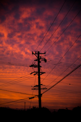 秋の空と電柱