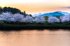 夕暮れの光に