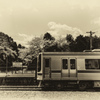 駅と列車と桜