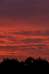 秋の西空
