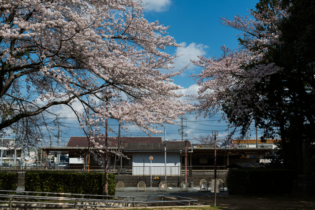 公園から