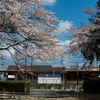 公園から