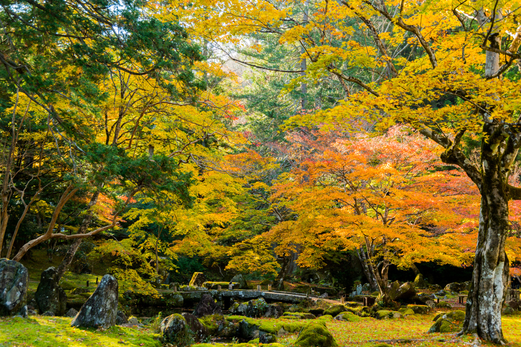 庭園の秋