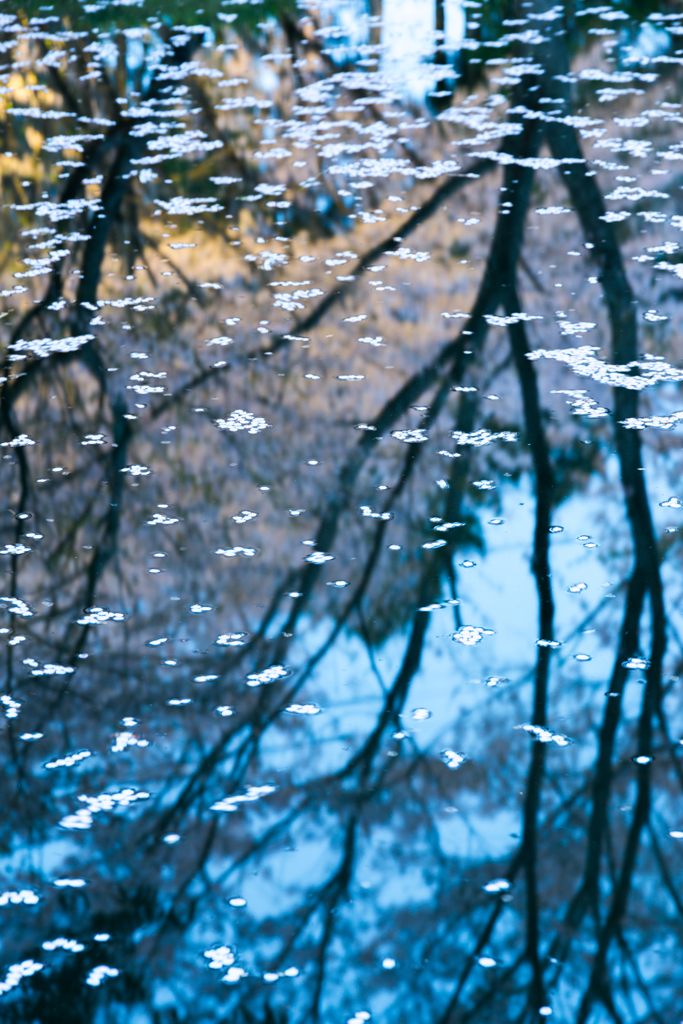 水面に