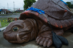 捕獲されたガメラ