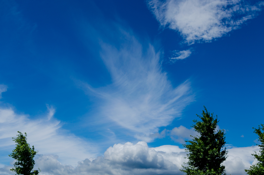 空に広がる