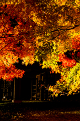 遊具と紅葉