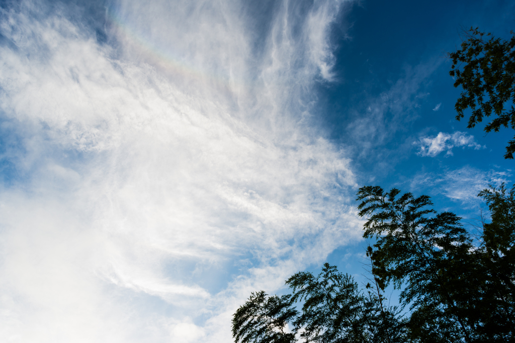 雨上がりの空